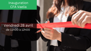 Inauguration CFA Vaelia