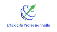 Efficacite professionnelle